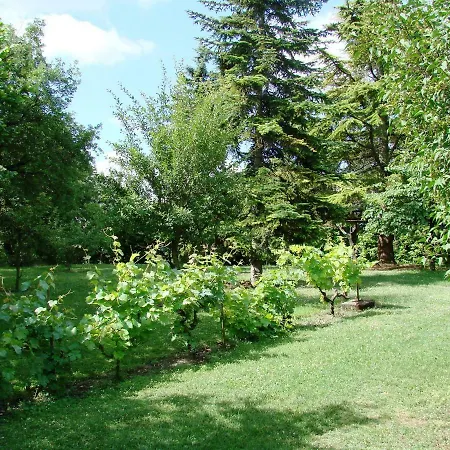 Mas Mialcor B&B *